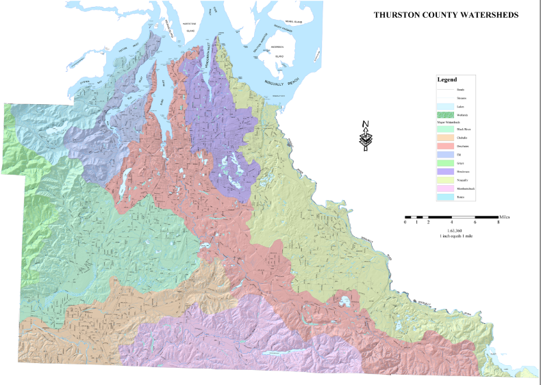 Map of all nine Thurston County Watersheds. Deschutes Watershed is Pink colored band stretching from Center to Right