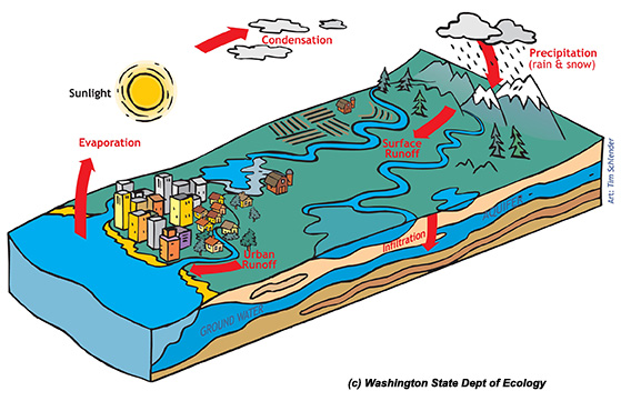A watershed is generally defined as the area from the top of a hill or mountain to where the water flows into a stream or sea.