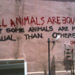 Animal_farm graffiti